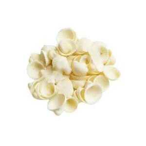 Deniz Kabuğu İstiridye 1 CM - 100 GR