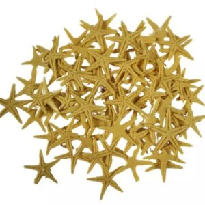 Deniz Yıldızı Ten Rengi 2 Cm 100 Adet