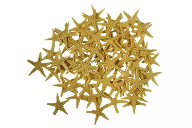 Deniz Yıldızı Ten Rengi 2 Cm 100 Adet