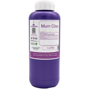 Mum Cilası 1 LT