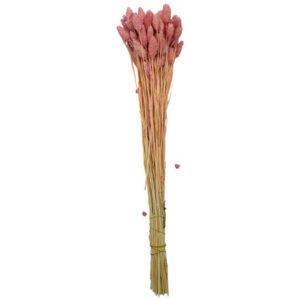 Pembe Kuş Otu Kuru Çiçek Demeti