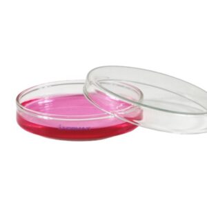 Petri Kutusu Steril 90 MM