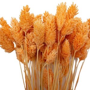 Turuncu Kuş Otu Kuru Çiçek Demeti 10 GR